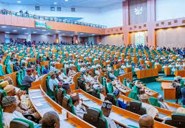 Green Chamber Moves to Block Controversial Army Policy Forcing Early Retirement of Commissioned Officers